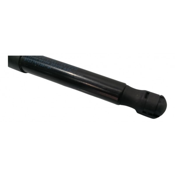 Amortecedor Capo Bmw 320 2021