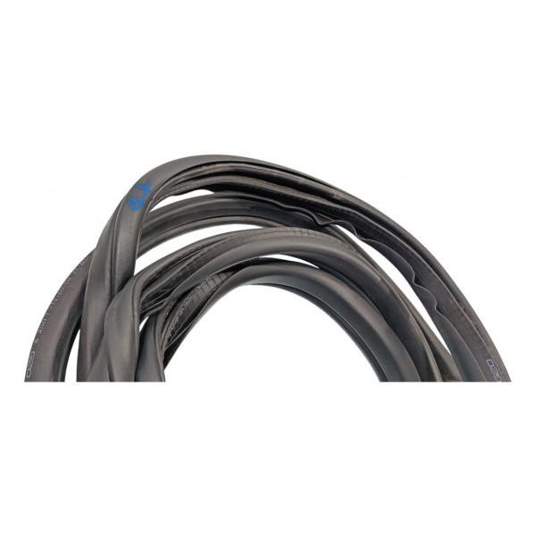 Borracha Porta Traseira Direita Bmw 320 2021