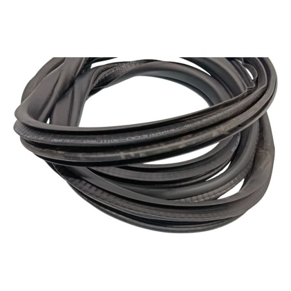 Borracha Porta Traseira Direita Bmw 320 2021