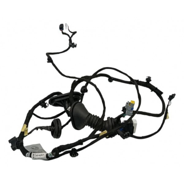 Chicote Porta Traseira Esquerda Byd Song Plus 24/25