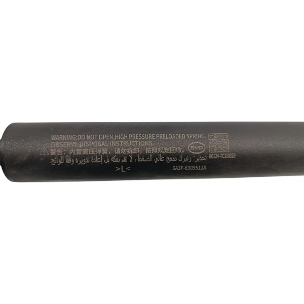 Amortecedor Elétrico Esq. Tampa Traseira Byd Song Plus 24/25