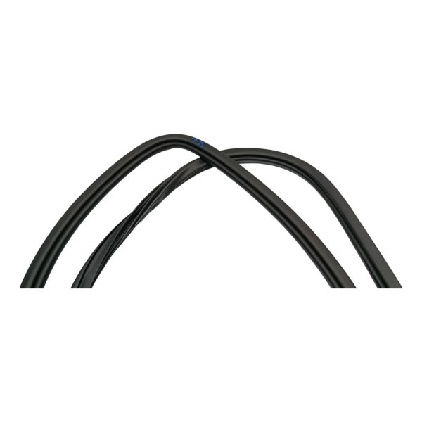 Borracha Porta Traseira Esquerda Byd Song Plus 24/25