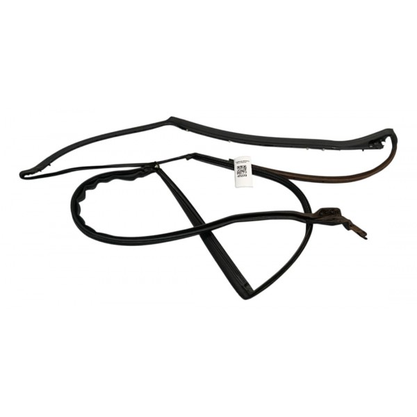 Borracha Pestana Porta Tras Dir Range Rover Sport 3.0 2024