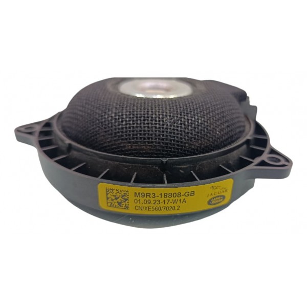 Alto Falante Porta Range Rover Sport 3.0 D350 2024 Preto