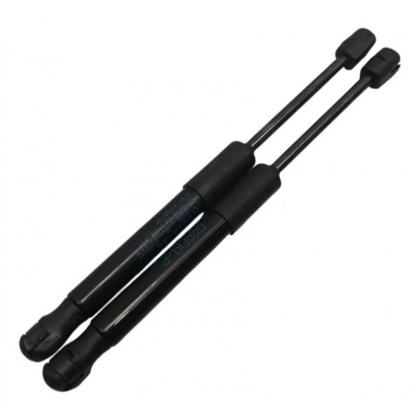 Par Amortecedor Capo Dianteiro Bmw 320i G20 2021