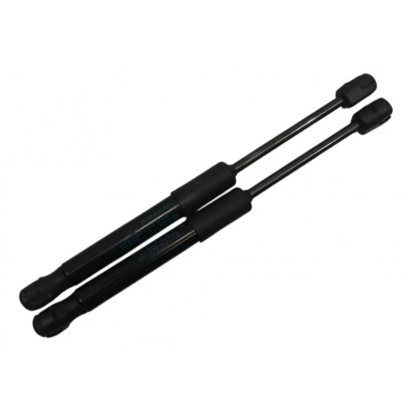 Par Amortecedor Capo Dianteiro Bmw 320i G20 2021