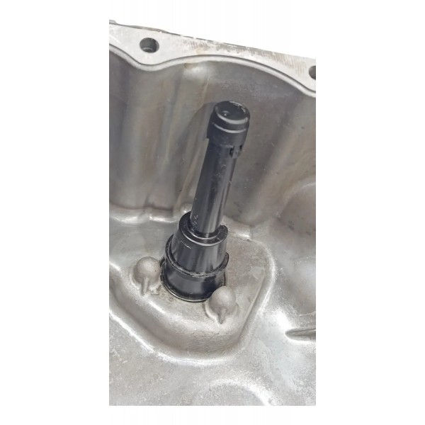 Carter Do Motor Bmw 320i 2022