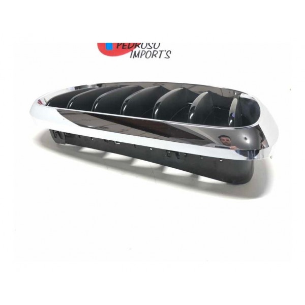 Grade Dianteira Direita Bmw X6 F16 2014 3737690