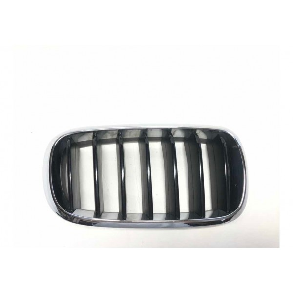 Grade Dianteira Direita Bmw X6 F16 2014 3737690