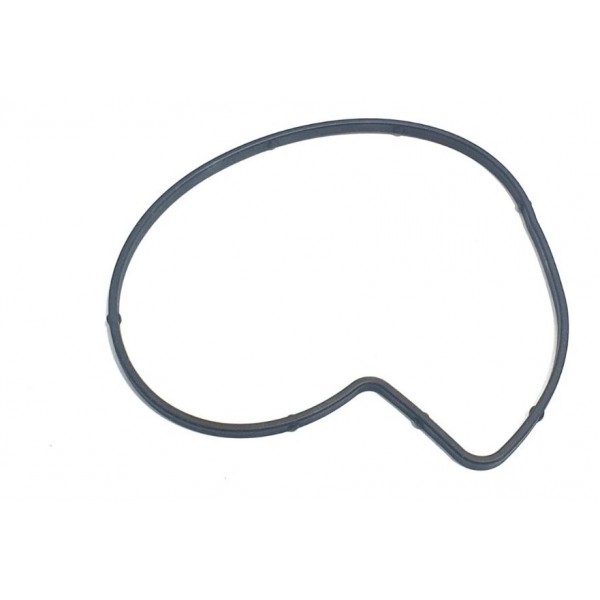 Junta Bmw 320i E46 2005 Cód. 517514940