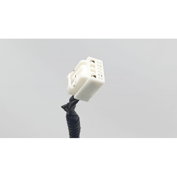 Chicote Porta Traseira Esquerda Honda Civic Touring 2017