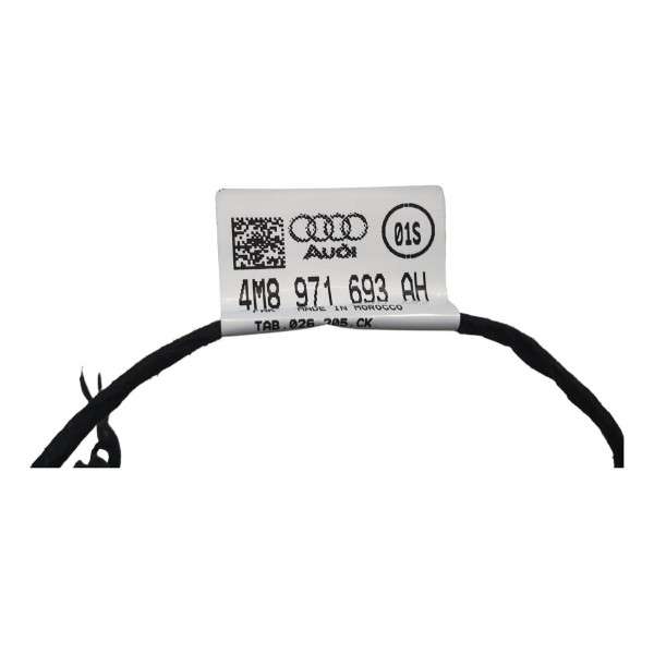 Chicote Porta Traseira Direita Audi Q8 2020