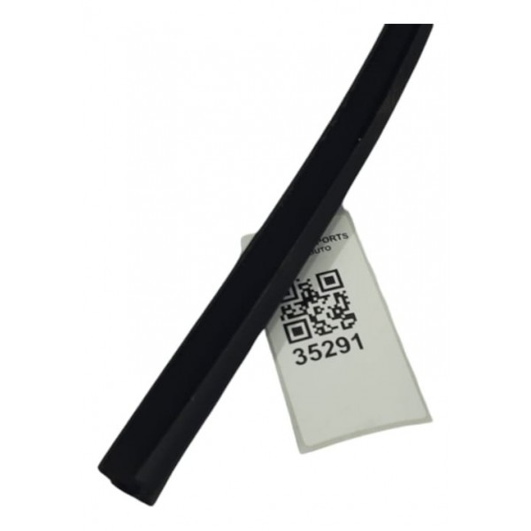 Borracha Porta Traseira Esquerda Bmw X3 M40i 2022 Preto