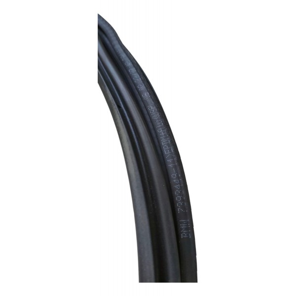 Borracha Porta Traseira Direita Bmw X3 M40i 2022